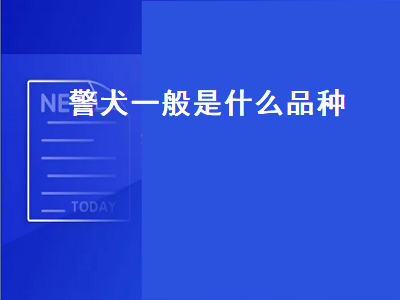 警犬一般是什么品种（中国警犬一般是什么品种）