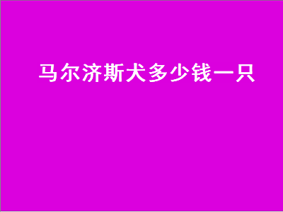 马尔济斯犬多少钱一只（马尔济斯多少钱）