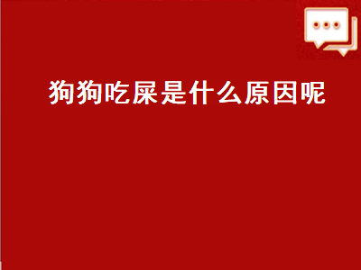 狗狗吃屎是什么原因呢（狗狗吃屎是什么原因呢怎么改善）