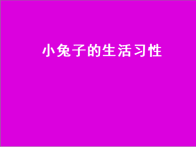 小兔子的生活习性（兔子的生活特征和生活方式）