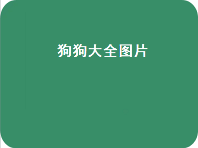 狗狗大全图片（狗狗大全图片带名字）