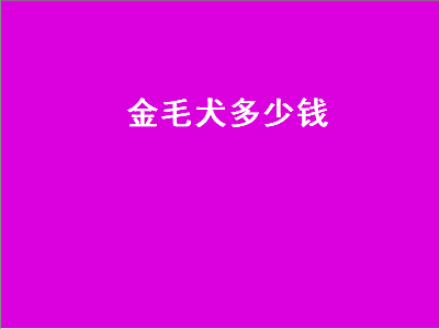 金毛犬多少钱（金毛犬多少钱一只）