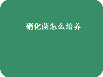 硝化菌怎么培养（冬天硝化细菌怎么培养）