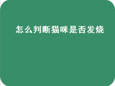 怎么判断猫咪是否发烧（怎么判断猫咪是否发烧了）