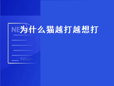 为什么猫越打越想打（为什么猫越打越想打它）