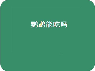 鹦鹉能吃吗（鹦鹉能吃白菜吗）