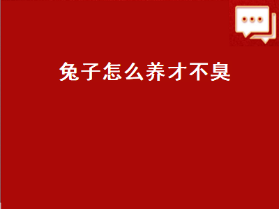 兔子怎么养才不臭（兔子怎么养才不臭夏天）