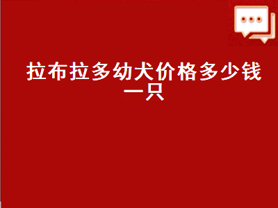 拉布拉多幼犬价格多少钱一只（拉布拉多幼犬价格多少钱一只黑色大狗）