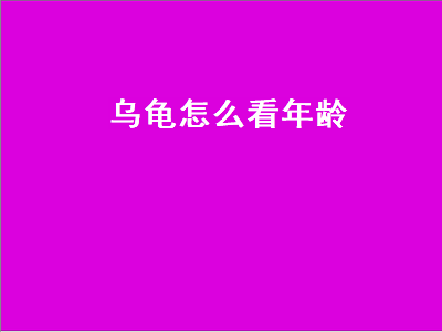 乌龟怎么看年龄（乌龟怎么看年龄图解）