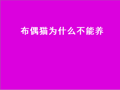 布偶猫为什么不能养（布偶猫为什么不能养,养布偶猫最忌讳什么）