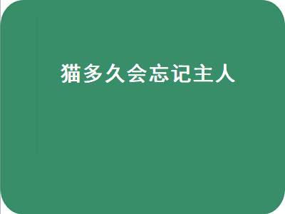 猫多久会忘记主人（三个月的猫多久会忘记主人）