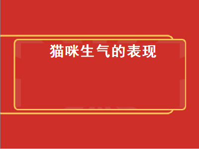 猫咪生气的表现（猫咪生气的表现有哪些）