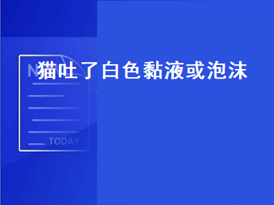 猫吐了白色黏液或泡沫（猫吐了白色黏液或泡沫是怎么回事）