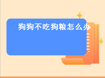 狗狗不吃狗粮怎么办（狗狗不吃狗粮怎么办但是却吃零食）