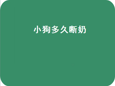 小狗多久断奶（小狗多久断奶可以送人）