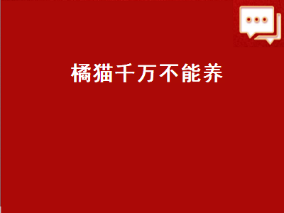 橘猫千万不能养（橘猫千万不能养为什么）