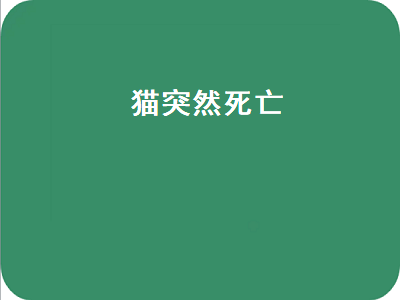 猫突然死亡（猫突然死亡的原因和症状）