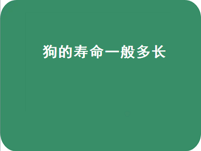 狗的寿命一般多长（狗的寿命一般多长相当于人的100岁）