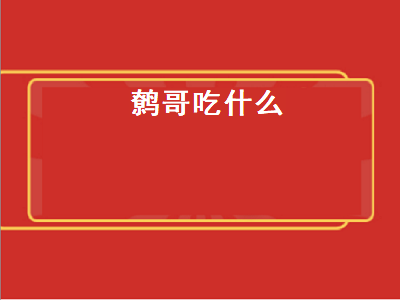 鹩哥吃什么（鹩哥吃什么食物最好）