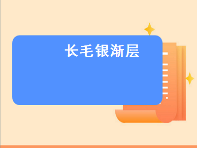 长毛银渐层（长毛银渐层价格）