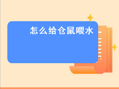 怎么给仓鼠喂水（没有喂水器怎么给仓鼠喂水）