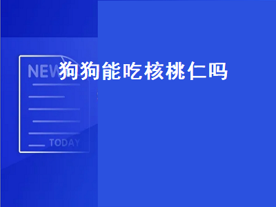 狗狗能吃核桃仁吗（泰迪狗狗能吃核桃仁吗）