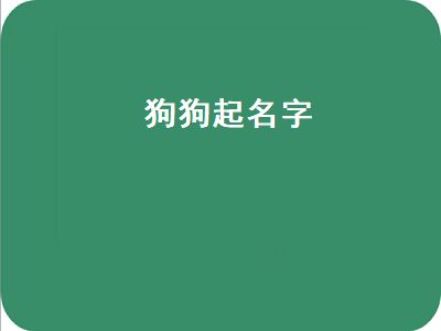 狗狗起名字（狗狗起名字大全洋气）