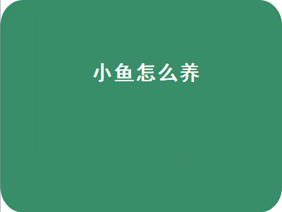 小鱼怎么养（小鱼怎么养才能养活）