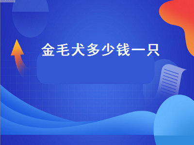 金毛犬多少钱一只（金毛犬多少钱一只幼崽）