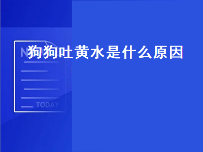 狗狗吐黄水是什么原因（泰迪狗狗吐黄水是什么原因）