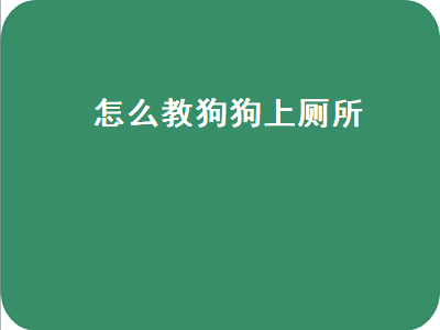 怎么教狗狗上厕所（怎么教狗狗拉屎拉尿）