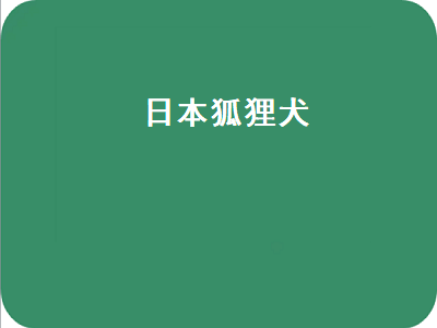 日本狐狸犬（日本狐狸犬和萨摩耶的区别）