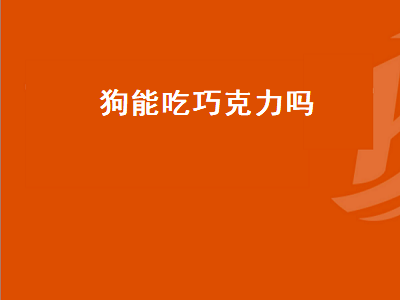 狗能吃巧克力吗（狗能吃巧克力吗吃了会死吗）