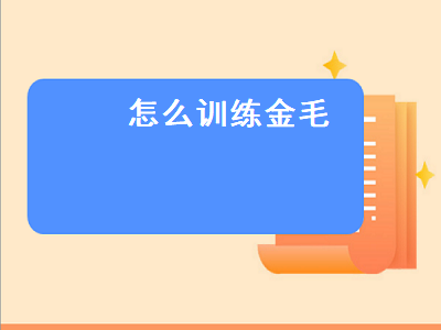 怎么训练金毛（怎么训练金毛犬大小便）