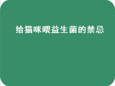 给猫咪喂益生菌的禁忌（给猫咪喂益生菌的禁忌猫咪突然呕吐之后吐红色的水）