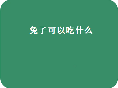 兔子可以吃什么（兔子可以吃什么水果）