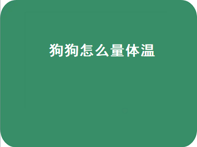 狗狗怎么量体温（狗狗怎么量体温看是不是发烧了）