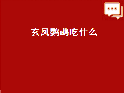 玄凤鹦鹉吃什么（玄凤鹦鹉吃什么水果）