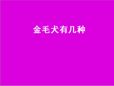 金毛犬有几种（金毛犬有几种颜色）