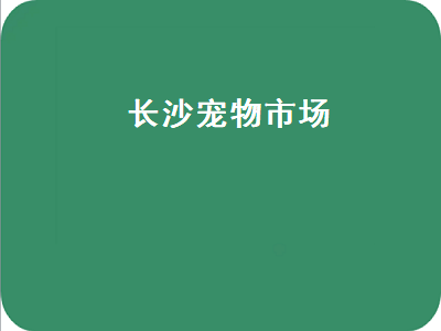 长沙宠物市场（长沙宠物市场哪个好）