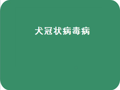 犬冠状病毒病（犬冠状病毒病名词解释）