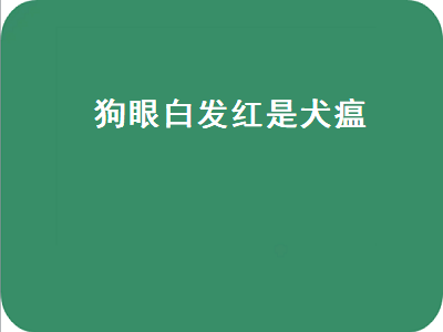 狗眼白发红是犬瘟（狗眼白发红是犬瘟细小）