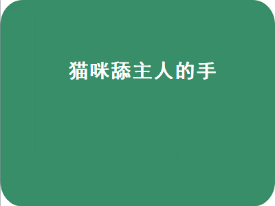 猫咪舔主人的手（猫咪舔主人的手什么意思）