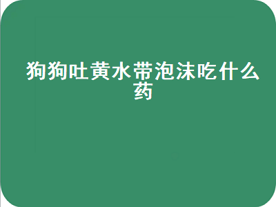 狗狗吐黄水带泡沫吃什么药（泰迪狗狗吐黄水带泡沫吃什么药）