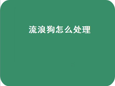 流浪狗怎么处理（流浪狗怎么处理 警察）