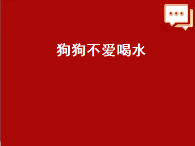 狗狗不爱喝水（狗狗不怎么喝水是啥原因）