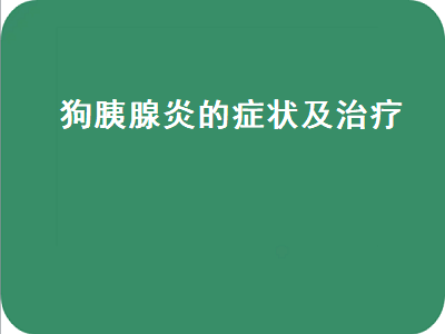 狗胰腺炎的症状及治疗（狗胰腺炎的症状及治疗方法）