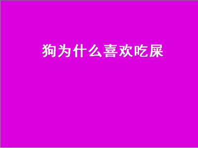 狗为什么喜欢吃屎（狗为什么喜欢吃屎呢）