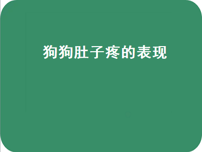 狗狗肚子疼的表现（泰迪狗狗肚子疼的表现）