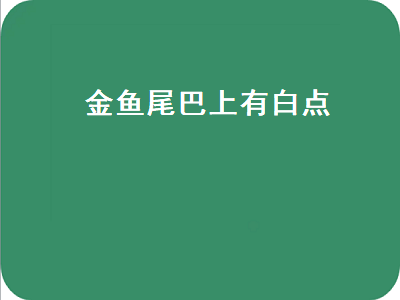 金鱼尾巴上有白点（金鱼尾巴上有白点图片）